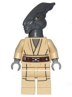 SW0480 Coleman Trebor product image 1, provided for visual reference and product detail review
