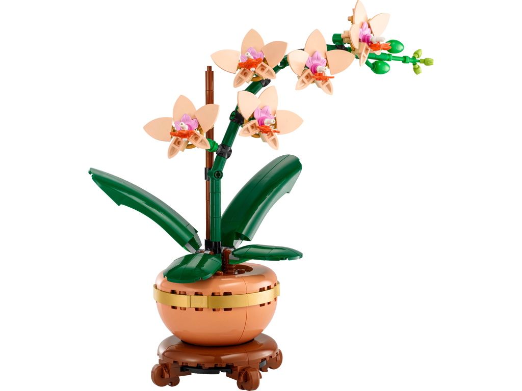 10343 Mini Orchid product image 2, provided for visual reference and product detail review