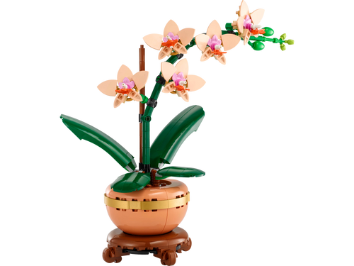 10343 Mini Orchid product image 2, provided for visual reference and product detail review