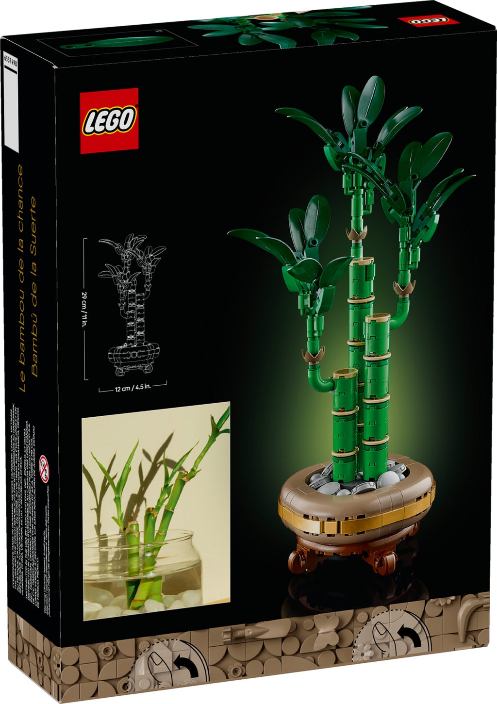 10344 Lucky Bamboo product image 3, provided for visual reference and product detail review