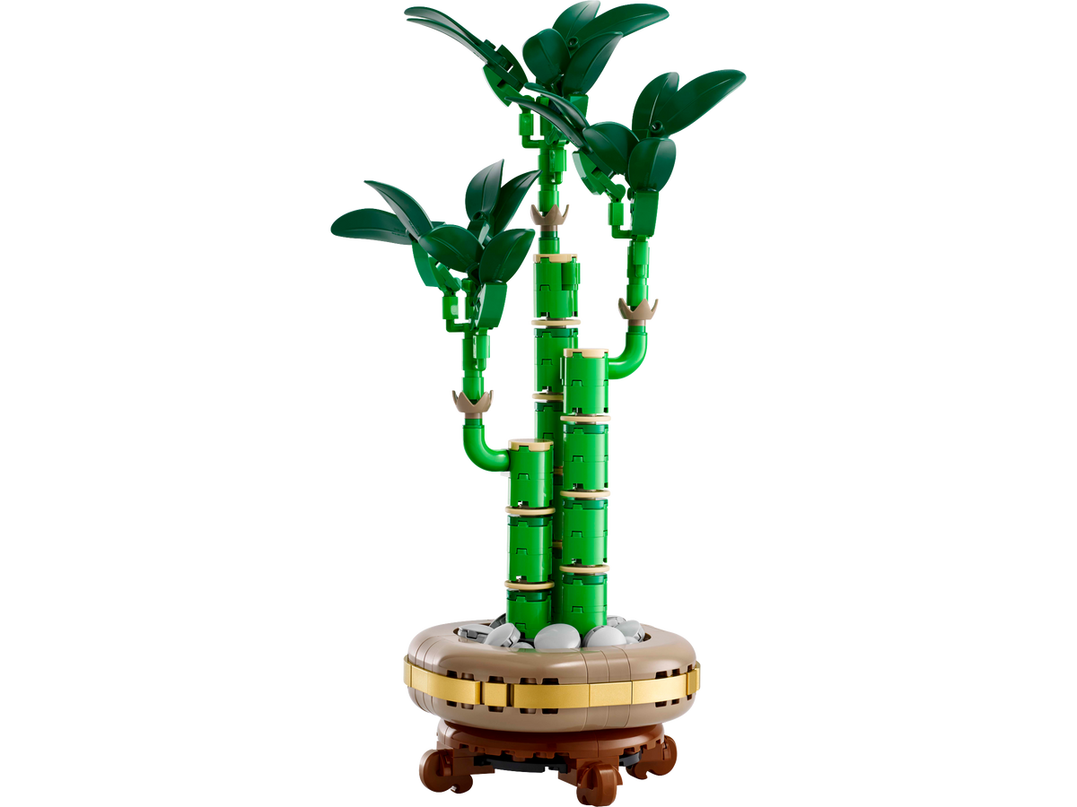 10344 Lucky Bamboo product image 2, provided for visual reference and product detail review