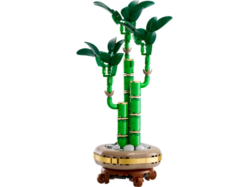 10344 Lucky Bamboo product image 2, provided for visual reference and product detail review
