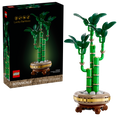 10344 Lucky Bamboo product image 1, provided for visual reference and product detail review