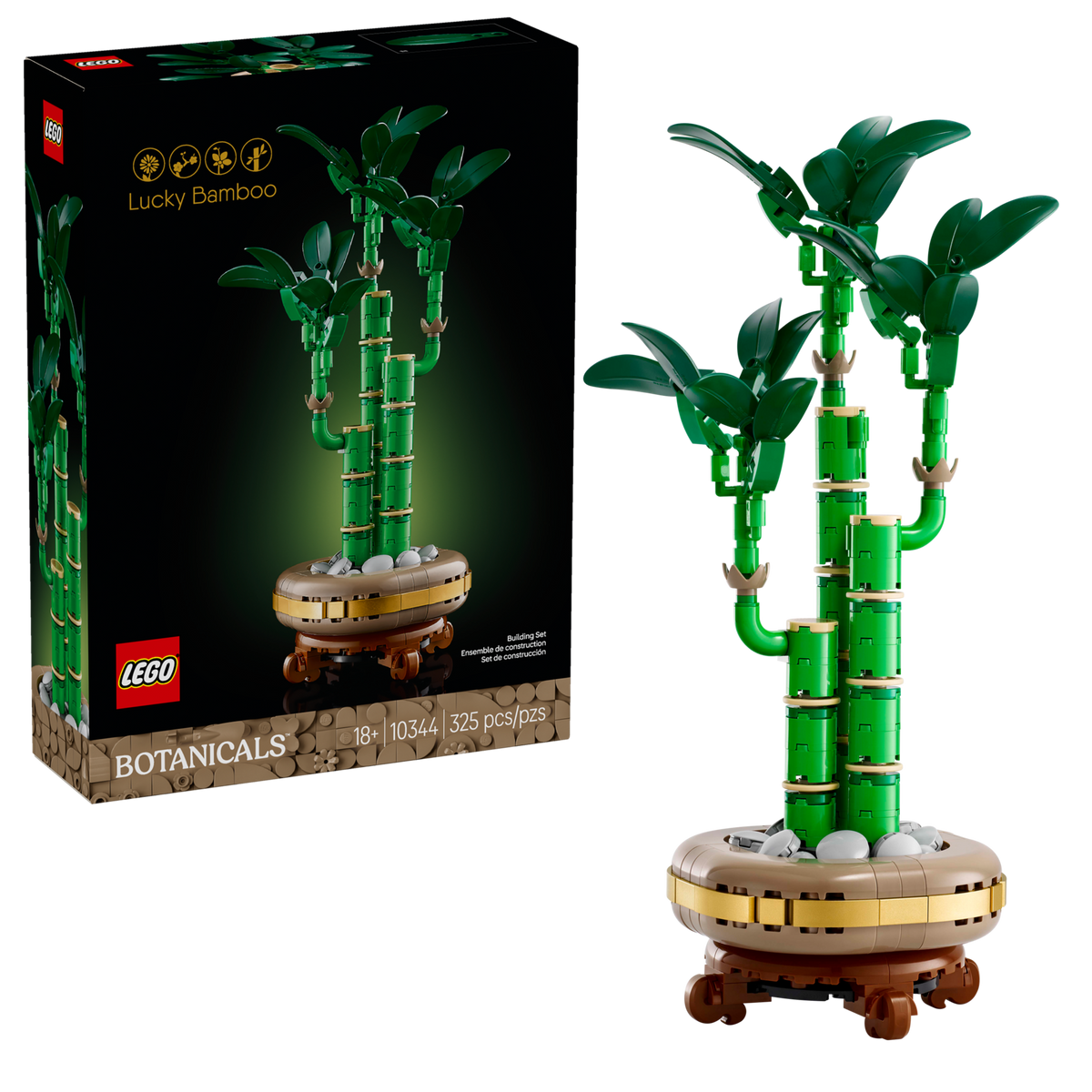 10344 Lucky Bamboo product image 1, provided for visual reference and product detail review
