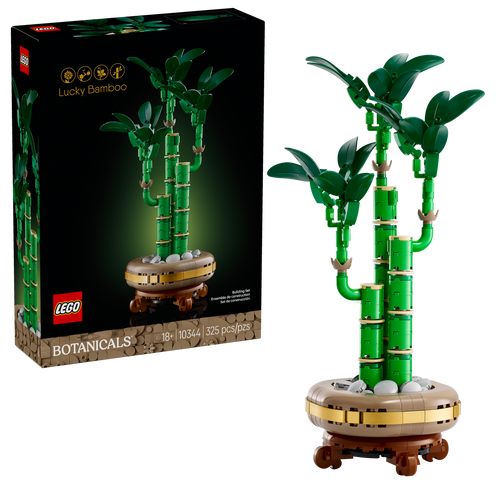 10344 Lucky Bamboo product image 1, provided for visual reference and product detail review