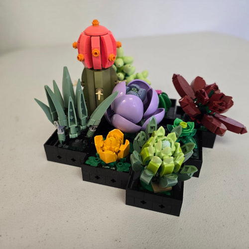 10309 Succulents Botanicals (Previously Owned) product image 1, provided for visual reference and product detail review