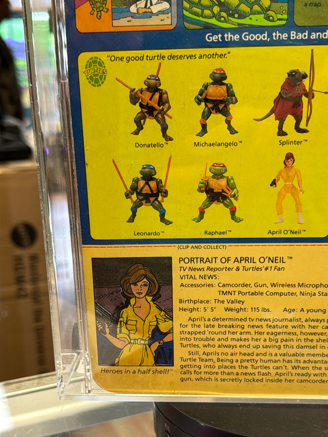 April O’Neil 10 Back No Press (Vintage TMNT Ninja Turtles, Playmates) *CAS Graded 80* product image 13, provided for visual
