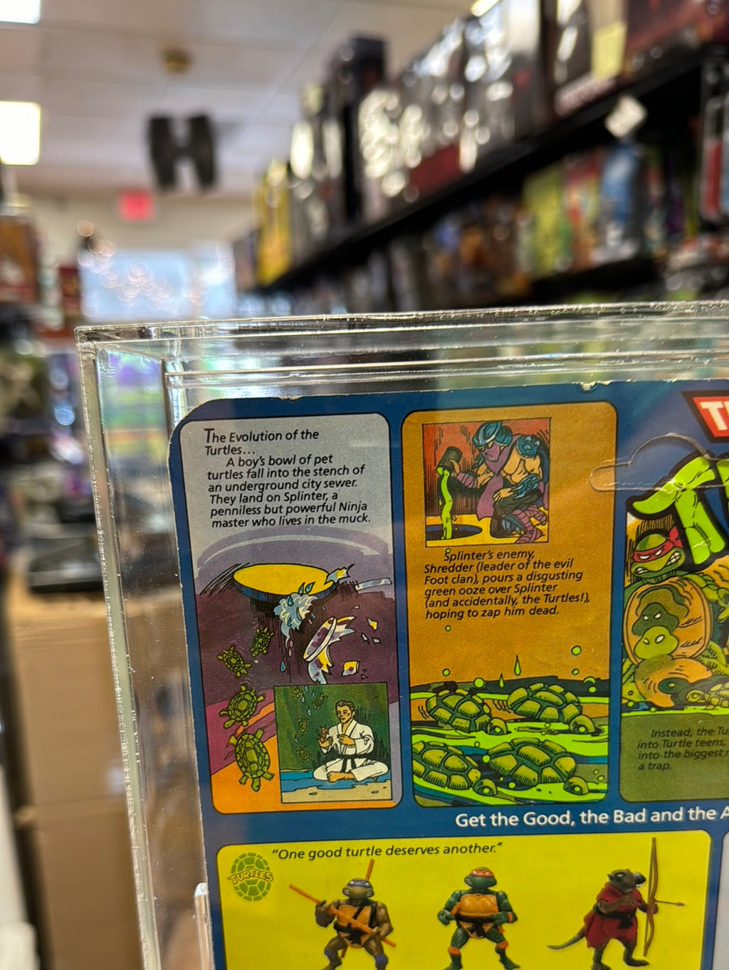 Splinter 10 Back Hard Head (Vintage TMNT Ninja Turtles, Playmates) *CAS Graded 80+* product image 8, provided for visual