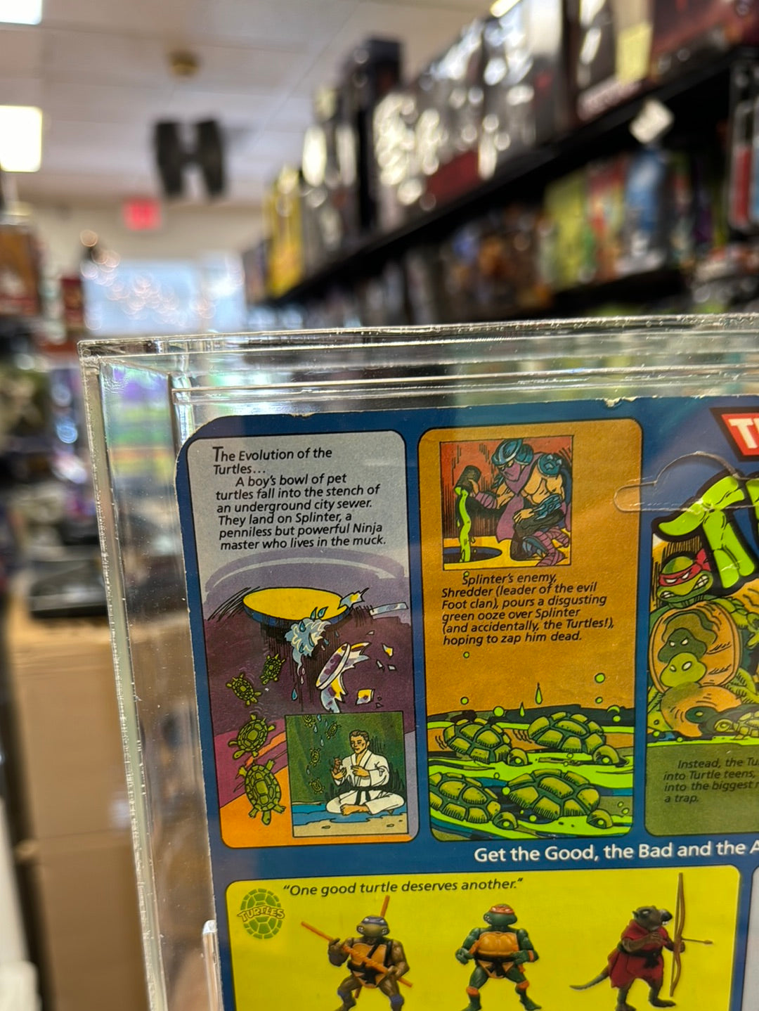 Splinter 10 Back Hard Head (Vintage TMNT Ninja Turtles, Playmates) *CAS Graded 80+* product image 8, provided for visual