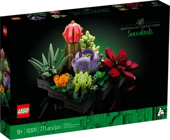 10309 Succulents product image 1, provided for visual reference and product detail review