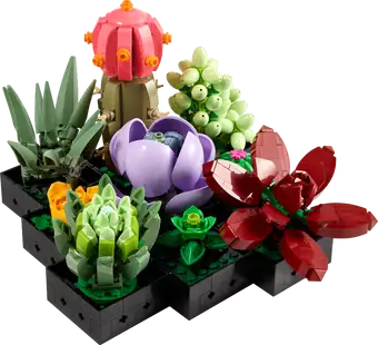 10309 Succulents product image 3, provided for visual reference and product detail review