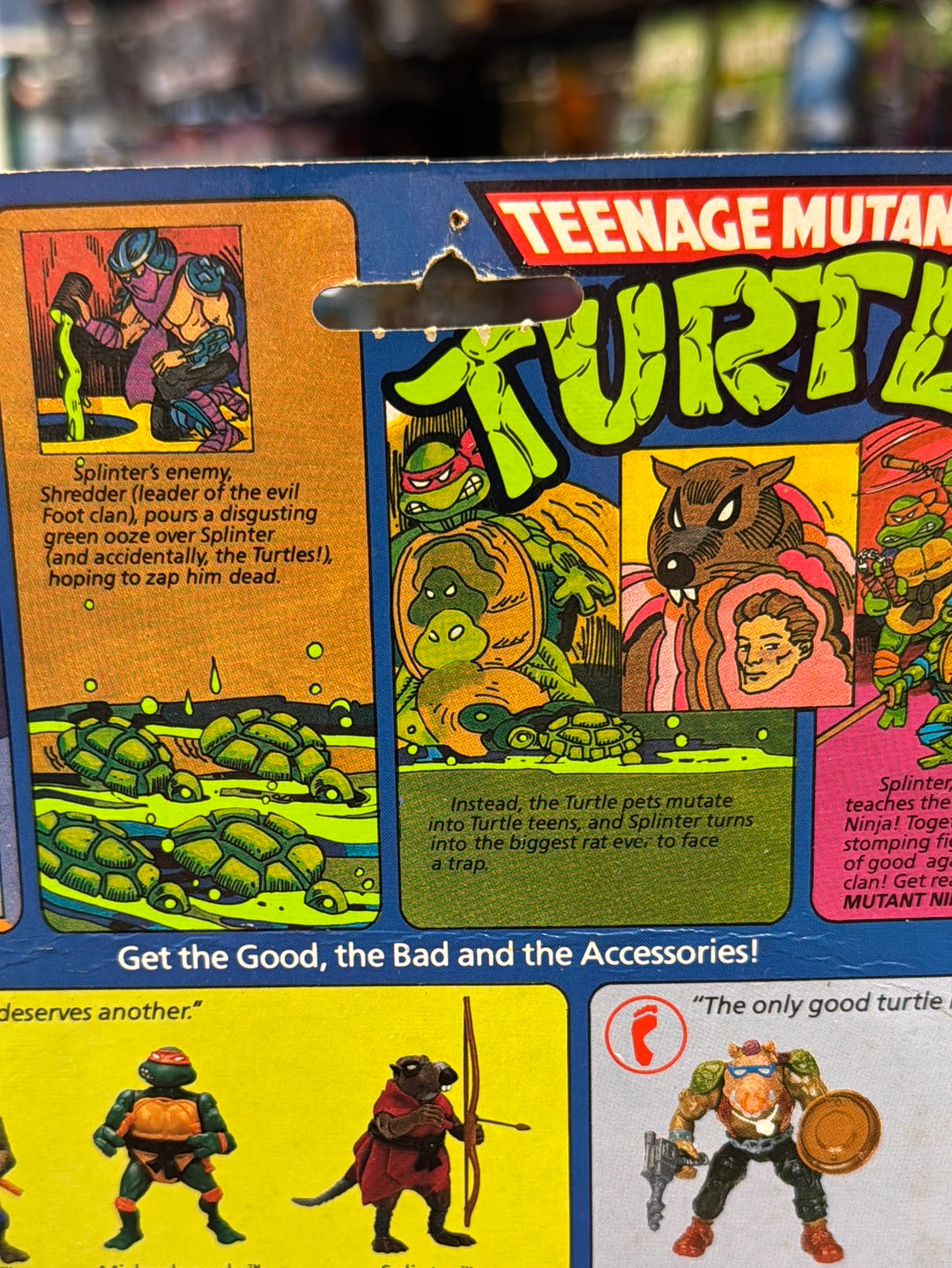 Soft Head 10 Back Leonardo 0118 (Vintage TMNT Ninja Turtles, Playmates) Sealed product image 13, provided for visual
