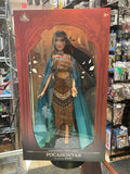 Pocahontas 17" Doll -LE 4500- (Walt Disney, Park Exlcusive) **NEW** product image 1, provided for visual reference and