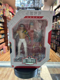 Jeff Hardy (WWE Ultimate Edition, Mattel) *COMPLETE* product image 1, provided for visual reference and product detail review