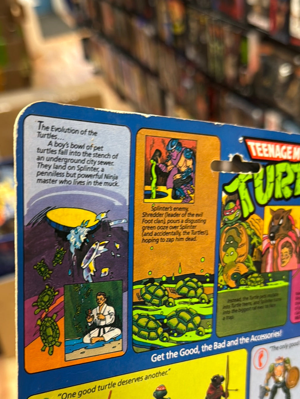 Soft Head 10 Back Rapahel 0117 (Vintage TMNT Ninja Turtles, Playmates) Sealed product image 12, provided for visual