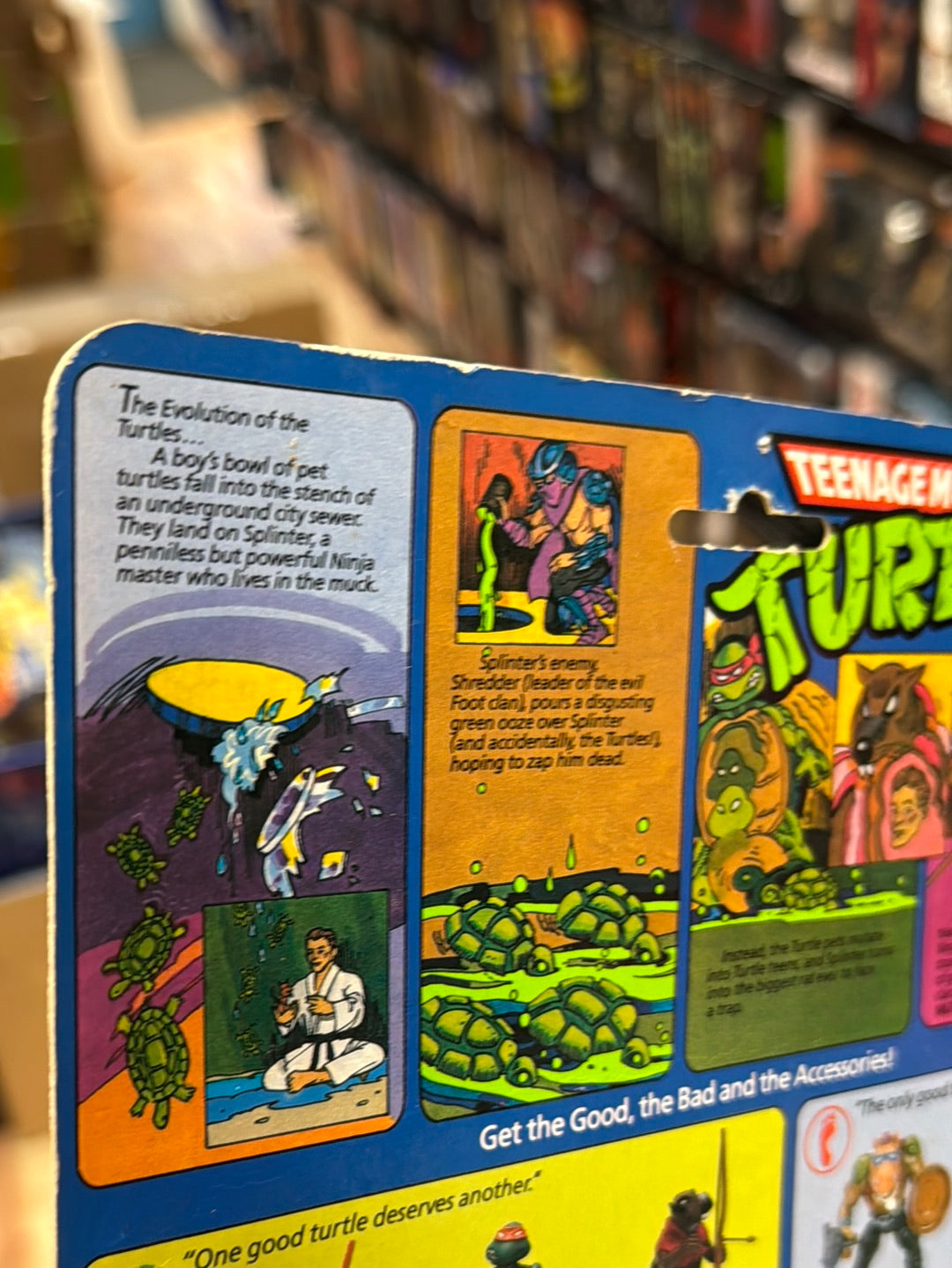 Soft Head 10 Back Rapahel 0117 (Vintage TMNT Ninja Turtles, Playmates) Sealed product image 12, provided for visual