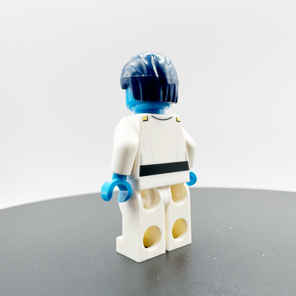 Grand Admiral Thrawn (The Phantom, Star Wars) - sw0811 product image 3, provided for visual reference and product detail