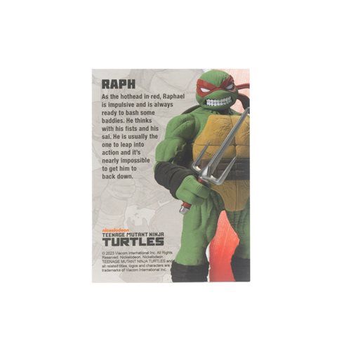 Raphael IDW Comic (Loyal Subjects BST, TMNT) product image 3, provided for visual reference and product detail review