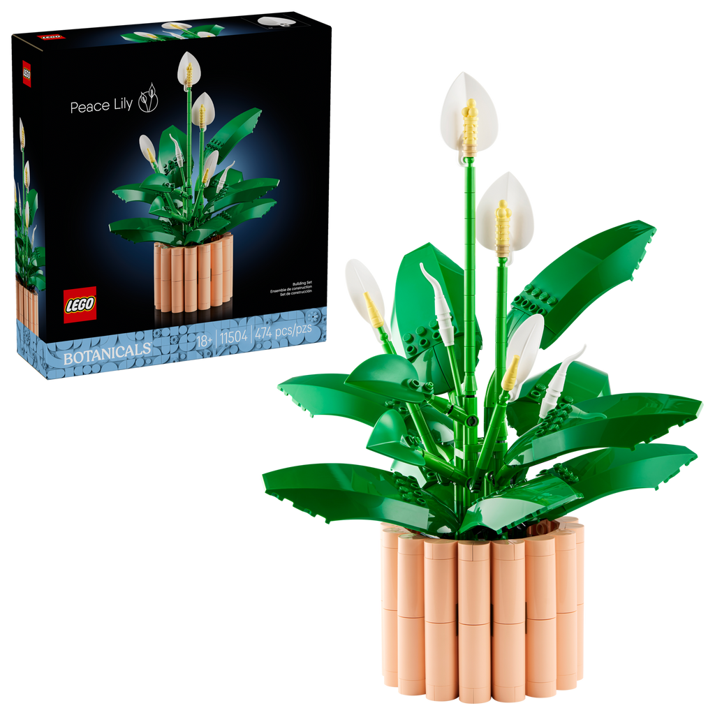 11504 Peace Lily product image 1, provided for visual reference and product detail review