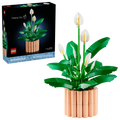 11504 Peace Lily product image 1, provided for visual reference and product detail review