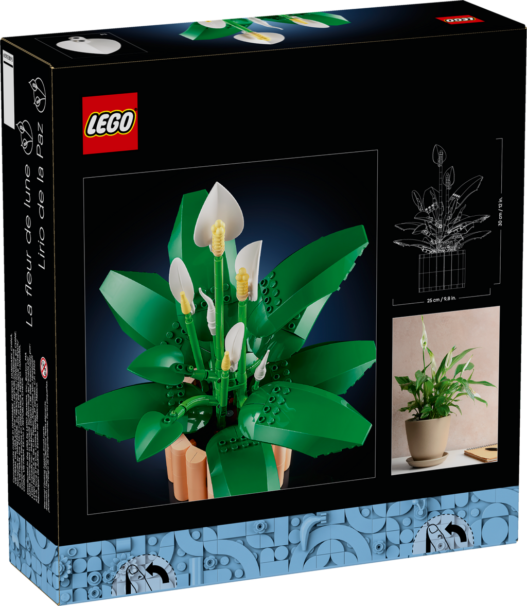 11504 Peace Lily product image 3, provided for visual reference and product detail review