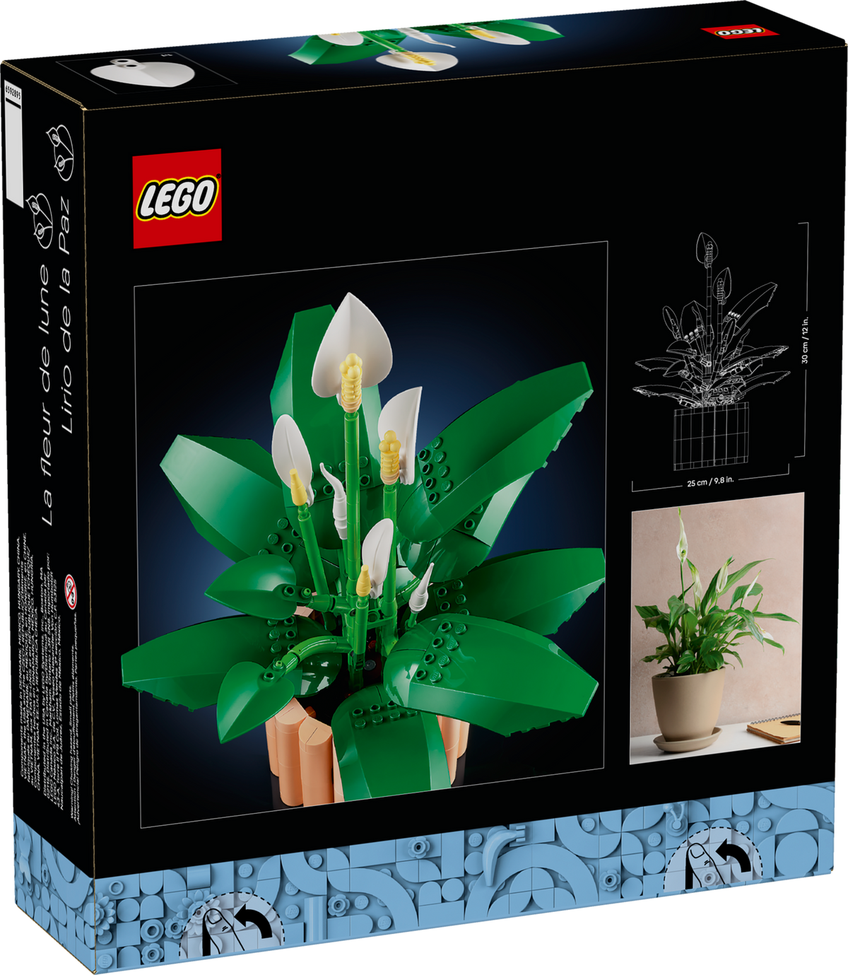 11504 Peace Lily product image 3, provided for visual reference and product detail review