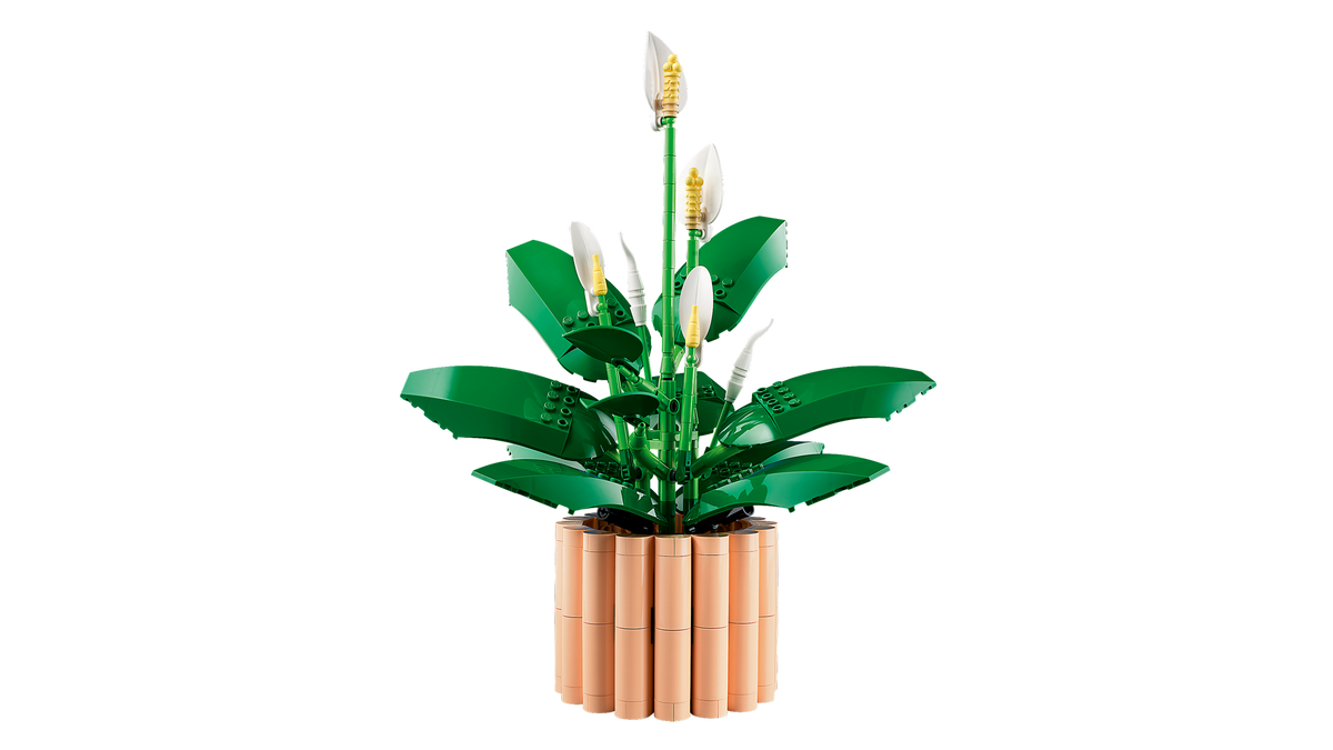 11504 Peace Lily product image 2, provided for visual reference and product detail review