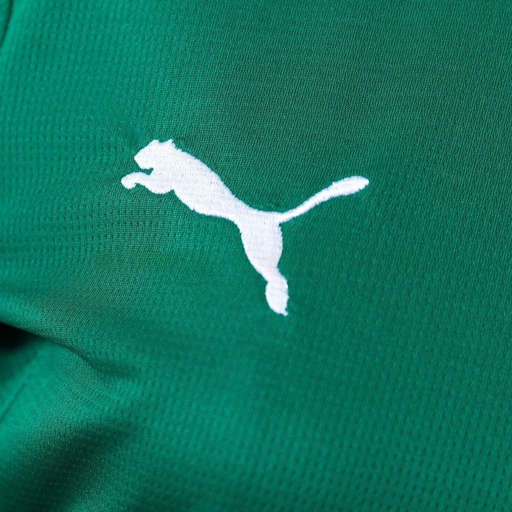 Women Palmeiras Home Jersey 2026/27 Football Kit Soccer product image 4