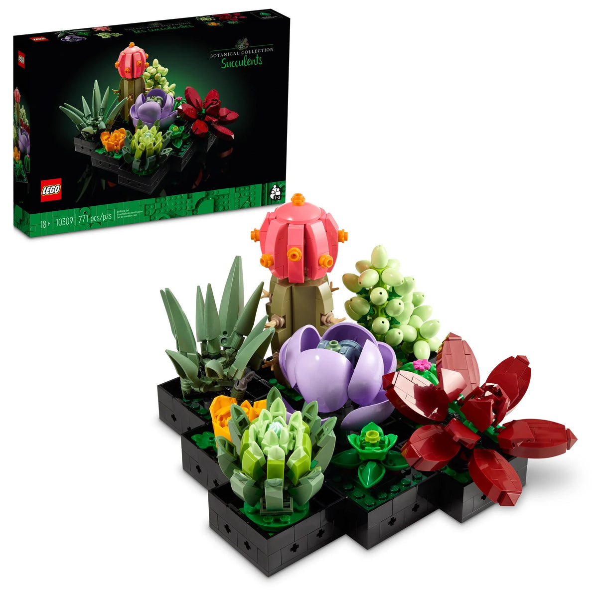 10309 Succulents product image 1, provided for visual reference and product detail review