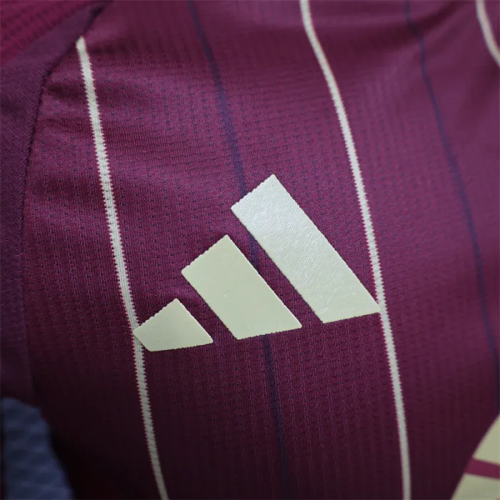 Player Version AS Roma Home Kit 24/25 Football Jersey product image 3