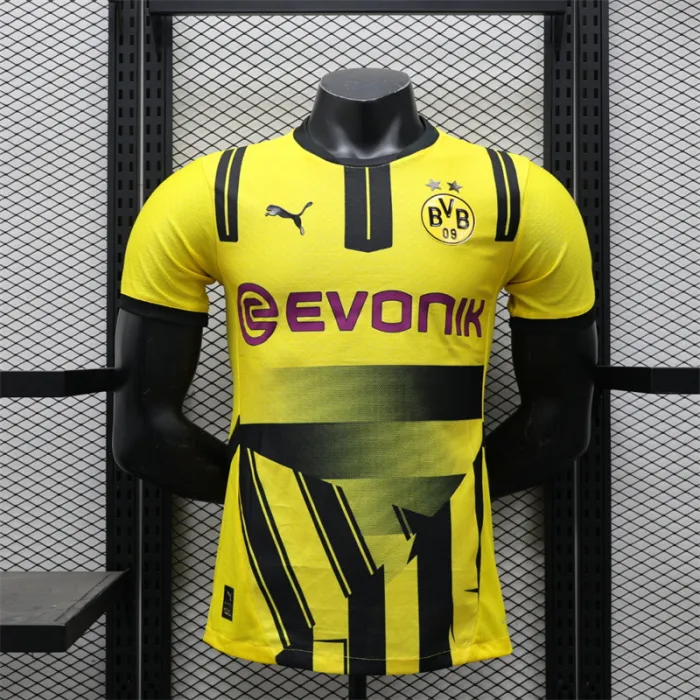 Player Version Dortmund Special Kit 24/25 Football Jersey product image 1