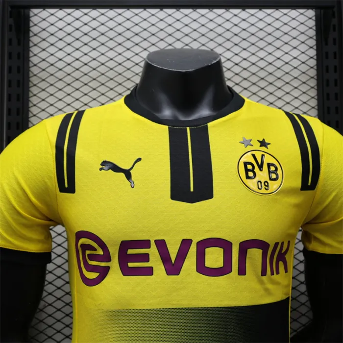 Player Version Dortmund Special Kit 24/25 Football Jersey product image 2