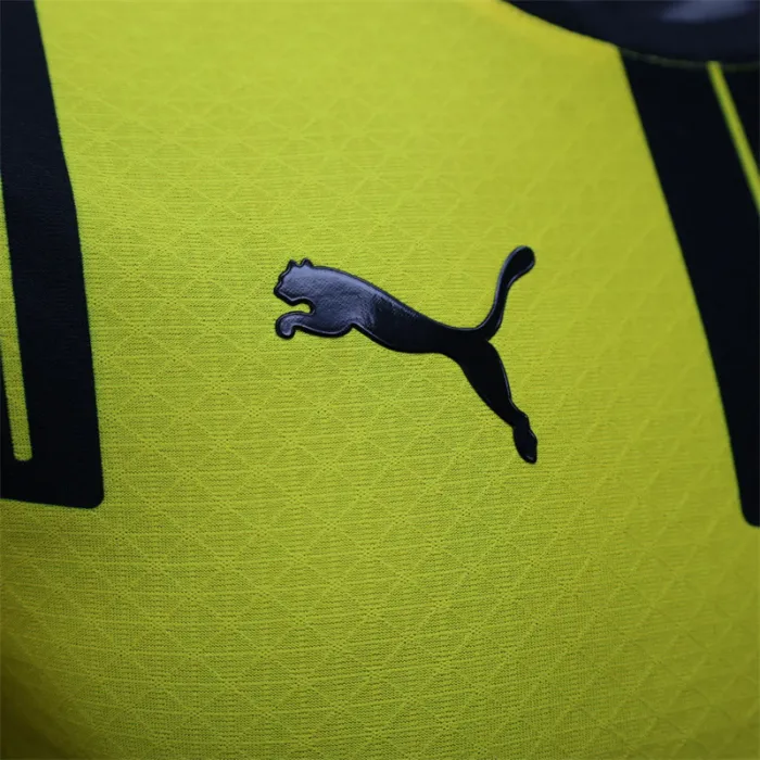 Player Version Dortmund Special Kit 24/25 Football Jersey product image 4