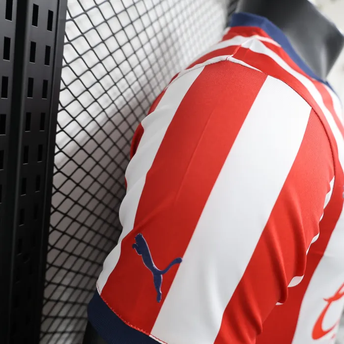 Player Chivas Home Kit 24/25 Football Jersey product image 4