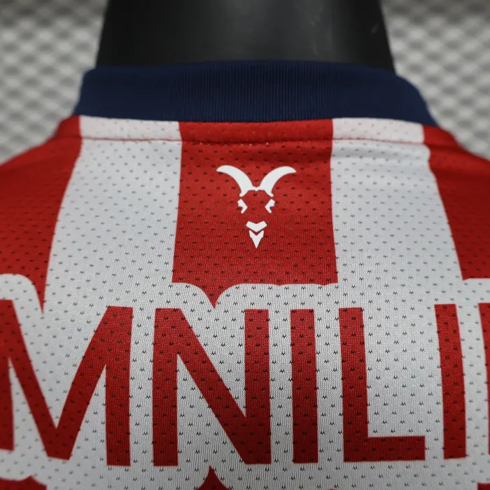 Player Chivas Home Kit 24/25 Football Jersey product image 9