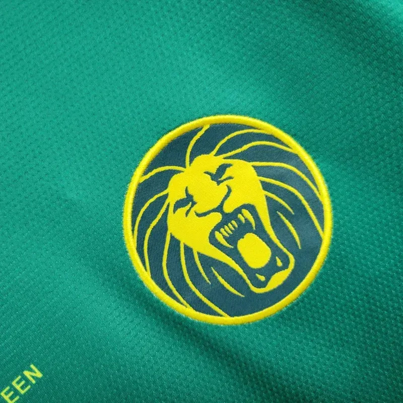 cameroon home jersey 2025 football kit soccer product image 3