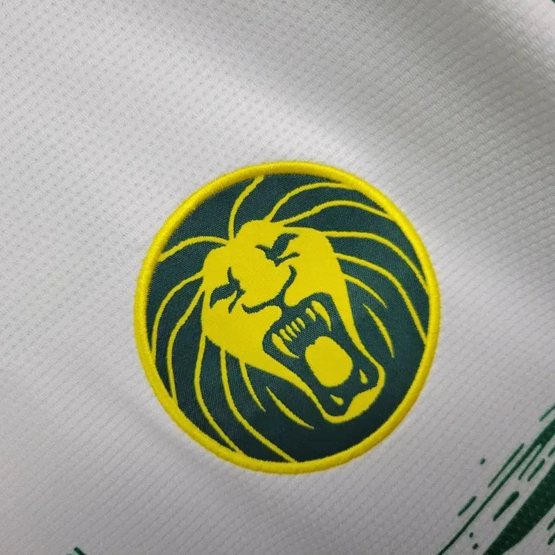 cameroon third jersey 2025 football kit soccer product image 4