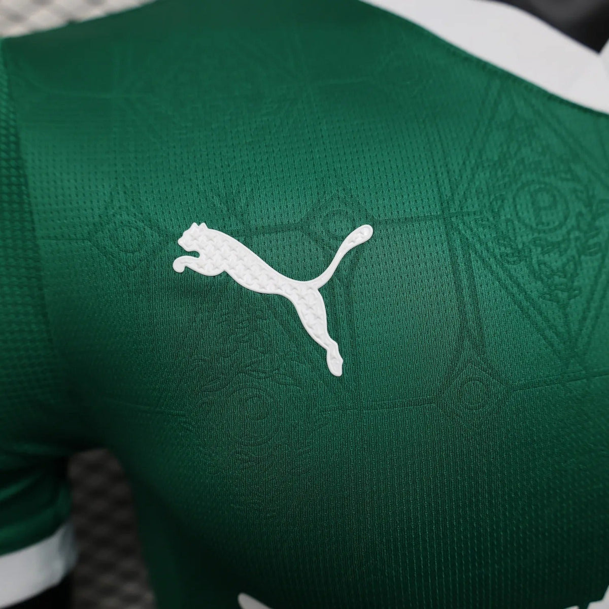 player version palmeiras jersey 25/26 home football kit product image 7